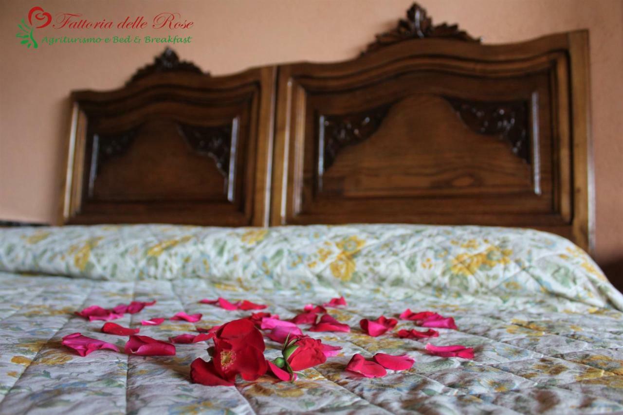 Vila Fattoria Delle Rose Salussola Exteriér fotografie