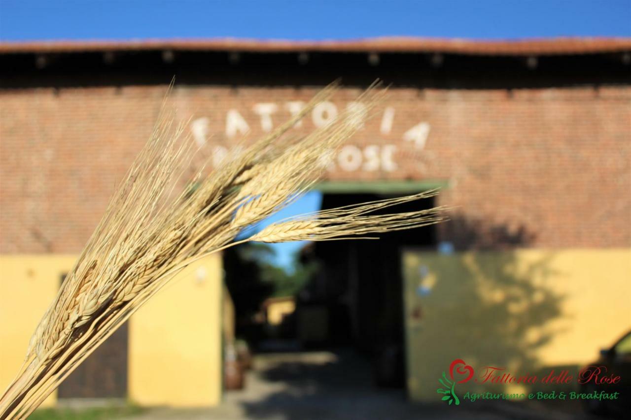 Vila Fattoria Delle Rose Salussola Exteriér fotografie