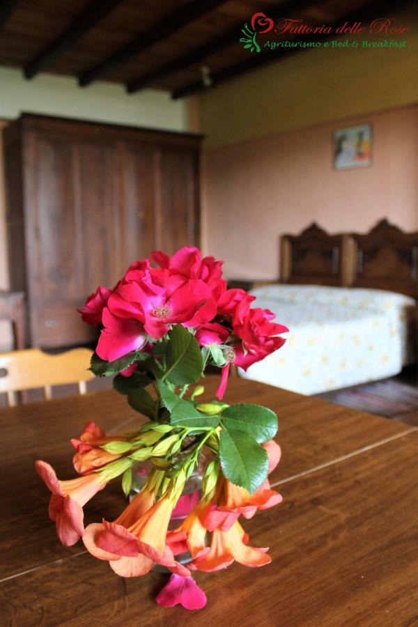 Vila Fattoria Delle Rose Salussola Pokoj fotografie